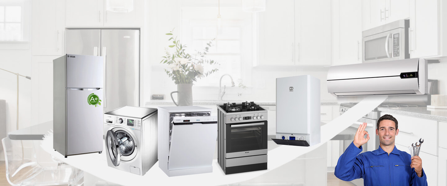 Palu Gorenje Servisi